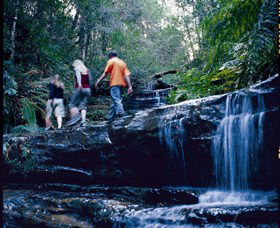 South Lawson Waterfall Circuit - VIC Tourism 0