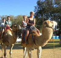 Calamunnda Camel Farm  - VIC Tourism