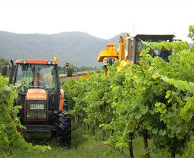 Stomp! Wines - VIC Tourism 8