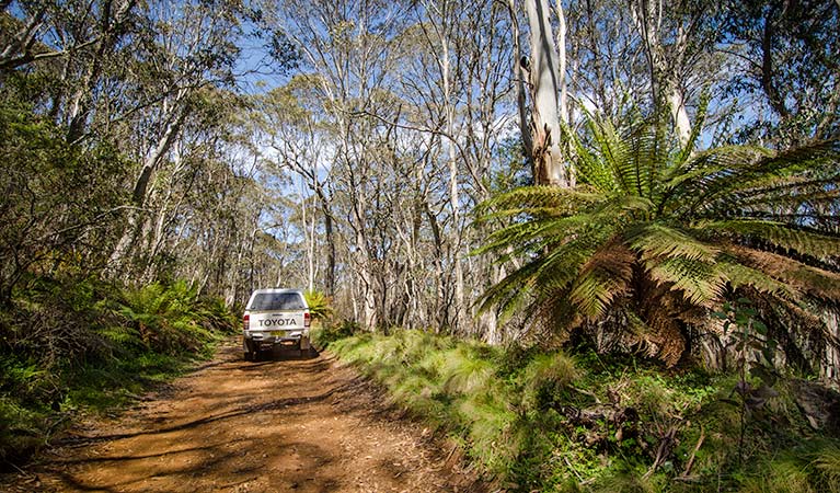 Moonan Brook NSW VIC Tourism