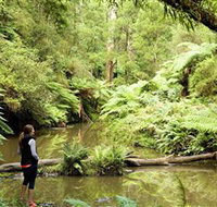 Morwell National Park - VIC Tourism