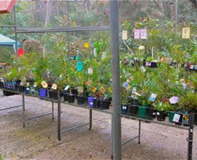 Glenbrook Native Plant Reserve And Nursery - VIC Tourism 3