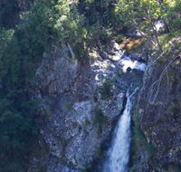 Lyrebird Falls walking track - VIC Tourism
