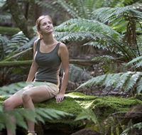 Barrington Tops National Park - Honeysuckle Forest Track - VIC Tourism