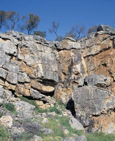 Badgingarra Nature Trail - VIC Tourism 0