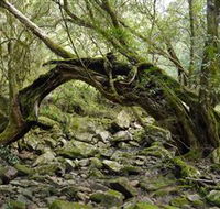 Mitchell River National Park - VIC Tourism