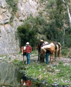 Yarramba Horse Riding - VIC Tourism 0
