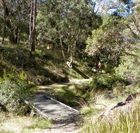 Wollomombi walking track - VIC Tourism