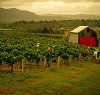 Around Hermitage Wine and Food Trail Hunter Valley - VIC Tourism