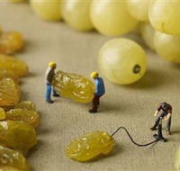 Hunter Valley Wine School - VIC Tourism