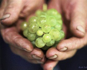 Keith Tulloch Wine - VIC Tourism 1