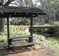 Barrington Tops State Forest - VIC Tourism