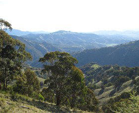 Barrington Tops State Forest - VIC Tourism 2