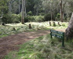 Barrington Tops State Forest - VIC Tourism 3
