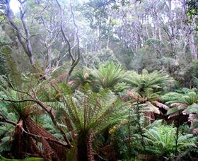 Pegarah Private Nature Reserve & Parenna Place - VIC Tourism 1
