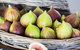 Tinklers Wines And Farm Produce - thumb 5