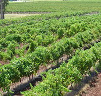 Pokolbin Brothers Wines Hunter Valley - VIC Tourism