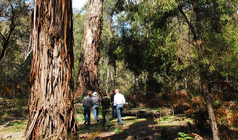 Berlang NSW VIC Tourism