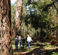 Tallaganda National Park - VIC Tourism