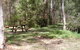 Tallaganda National Park - thumb 1