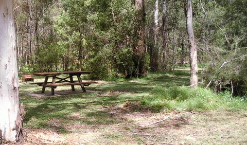 Tallaganda National Park - VIC Tourism 1