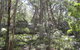 Tallaganda National Park - thumb 2