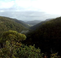 Nattai Gorge Lookout - VIC Tourism