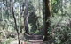 Box Vale Mine Walking Track And Lookout - thumb 0