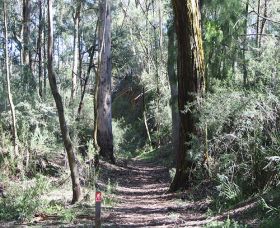 Box Vale Mine Walking Track And Lookout - VIC Tourism 0