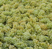 Normanby Wines - VIC Tourism