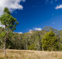 Brush Turkey track - VIC Tourism