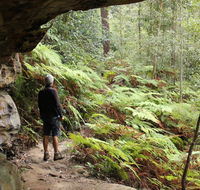 Dharug National Park - VIC Tourism