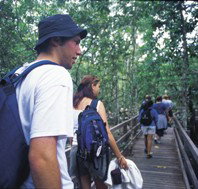 Bellthorpe National Park - VIC Tourism
