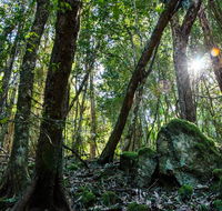 Copeland Tops State Conservation Area - VIC Tourism