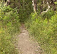 Three Views walking track - VIC Tourism