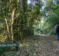 Basin Loop track - VIC Tourism