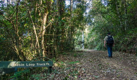 Basin Loop Track - VIC Tourism 0