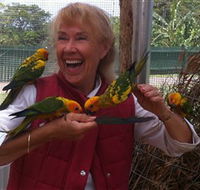 Maleny Botanic Gardens  Bird World - VIC Tourism