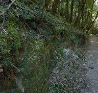 Hidden Treasure track - VIC Tourism