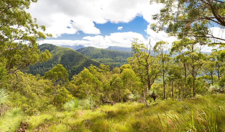 Sawpit Creek ACT VIC Tourism