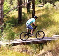 The Steps Mountain Bike Park - VIC Tourism