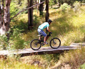The Steps Mountain Bike Park - VIC Tourism 0