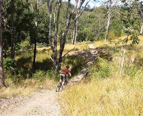 The Steps Mountain Bike Park - VIC Tourism 2