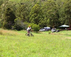 The Steps Mountain Bike Park - VIC Tourism 1