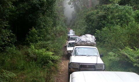 Carrai National Park - VIC Tourism 3