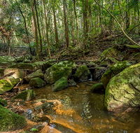 Palm Grove Nature Reserve - VIC Tourism