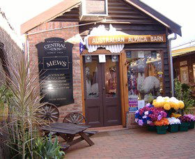 Australian Alpaca Barn - Morpeth - VIC Tourism 0
