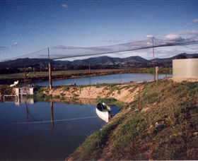 Trudgalong Farm - VIC Tourism 1