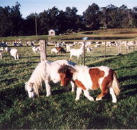 Trudgalong Farm - VIC Tourism