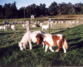 Trudgalong Farm - VIC Tourism 0